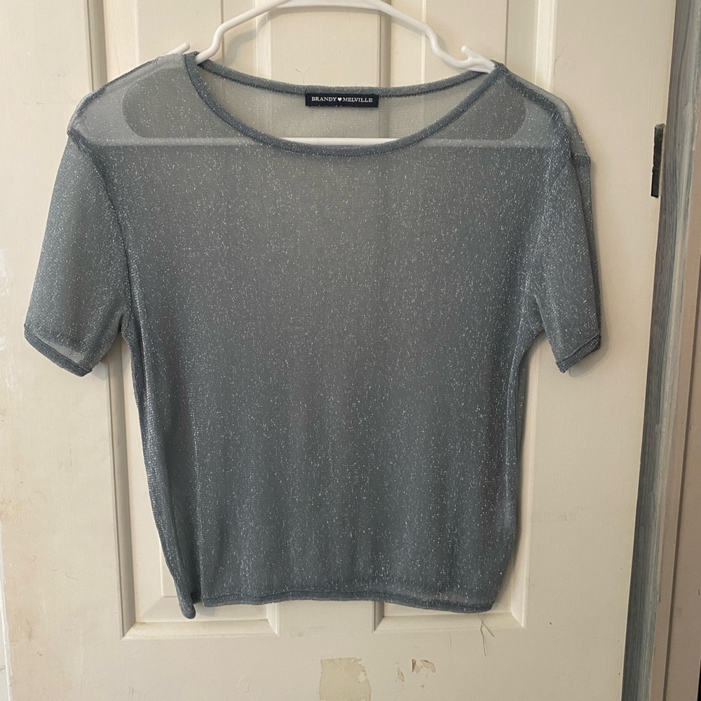 Brandy Sheer Sparkle Top